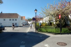 30.04.2007 Alles blüht